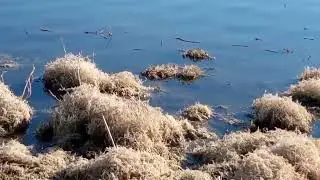 Симферополь рыбалка на водохранилище не клюëт 15 ноября 2022