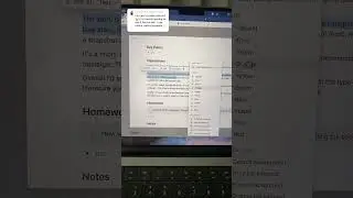 Creating colorful notes in Notion! 