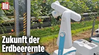 Technik revolutioniert Landwirtschaft