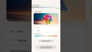 How to Change Screen Mode in Samsung Galaxy Z Fold 5 