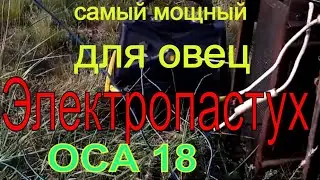 Электропастух ОСА 18 установка \жизнь в деревне