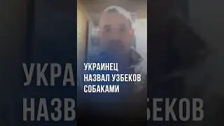 Сеют раздор, — МИД Узбекистана про украинца, который назвал узбеков собаками 