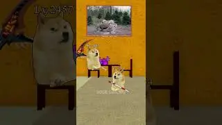 Too Poor to trade | Doge Gaming