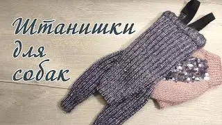 Как связать штанишки для собак, вязание спицами