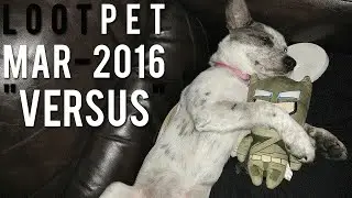 Loot Pet March 2016 | "Versus"