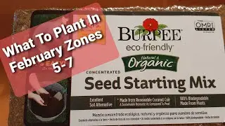 What to Plant In February Zones 5-7-SEED STARTING!