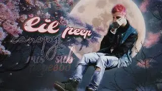 Lil Peep – canopy / DownDownDown rus sub / перевод / русские субтитры