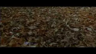 Сестры Богдановы - Ты душа моя, косолапая