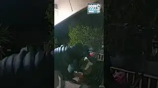All This For a Scooter? (Caught on Ring Doorbell)