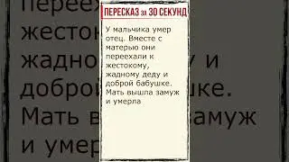 Детство. Пересказ за 30 секунд. 