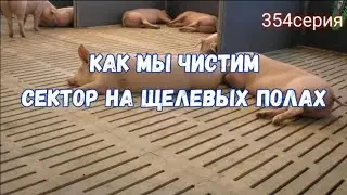 откачка щелевых полов в откорме