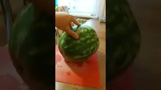 Впуклые попки вкуснее
