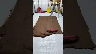 The most attractive short carpet video in the world Cleaning a very heavy colorful carpet with mud