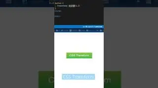 CSS transform 