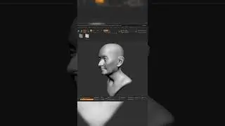 FlippedNormals Face VDMs