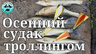 Осенний судак троллингом