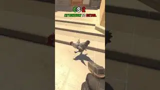 CS 2 Details: 🔫🐔 You Can't Kill a Chicken by Shooting It in the Leg