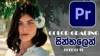 Premier Pro එකෙන් Color Grading ලෙසියෙන්ම