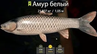 АХ*ЕТЬ! ПОЙМАЛ ГИГАНТСКОГО 22 КИЛОГРАМОВОГО АМУРА БЕЛОГО! МОЙ РЕКОРД! ЭТО НЕЧТО! Я ЭТО СДЕЛАЛ! РР4