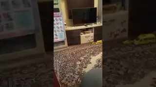 Когда жена уехала к тёще на период карантина.