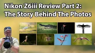 Nikon Z6iii - The Story Behind The Photos (A Goldmine Of Field Techniques)