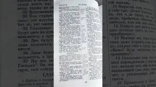 В тот день не возвращайся назад⏳Луки 