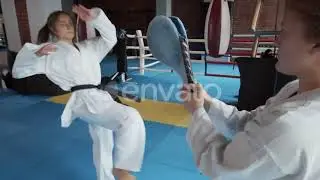 Martial Arts Fighter Exercising | Stock Footage - Envato elements