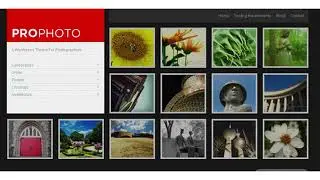 WP ProPhoto - A Wordpress Theme For Photographers | Themeforest Website Templates and Themes