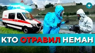 Подробности происшествия в Гродно / Полоцк лишили будущего / Брест без света // Новости регионов