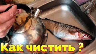 Как быстро чистить пеленгаса от чешуи ?