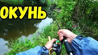 Catching of the PERCH on a spinning in MOSCOW . Desna River.