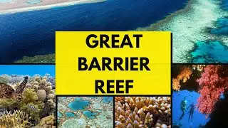 5 AMAZING Ways to EXPLORE the Great Barrier Reef!