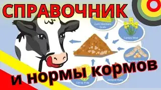 Сколько энергии и протеина в моих кормах?