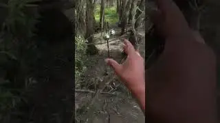 Поставил снасть на сома, а поймал ЕГО!
