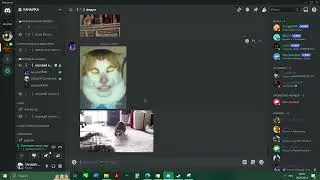 ЛЕГЕНДАРНОЕ ВИДЕО МАНГЕКУ КОТ