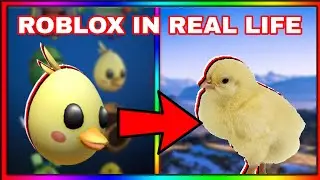 ROBLOX EGG HUNT 2020 EGGS IN REAL LIFE [EVENT]