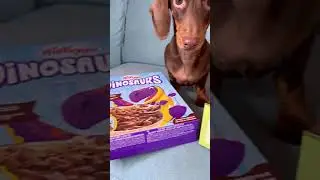 ОБЫЧНАЯ ЕДА ИЛИ С ИГРУШКОЙ?😁