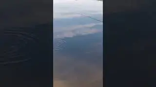 Лебедь помогатор 