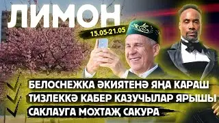 Альбинос көнгерә / Белоснежка әкиятенә яңа караш / ЛИМОН /Могильный беспредел