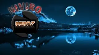 Niviro - Flares [Brird7 Release] #nocopyrightmusic #ncs