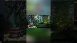 Nay chill hồ cá của tôi xíu nha