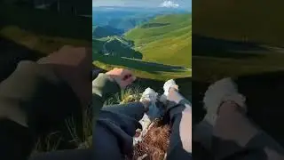 Как можно здесь жить