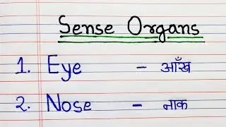 sense organs | 5 sense organs | sense organs name in English and Hindi | eye, ear, nose, skin