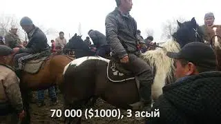 Озгон мал базары, аттар 300 мин сомго чейин. 12\03\18 Скотный рынок, Узген  кони до 300 000 сомов