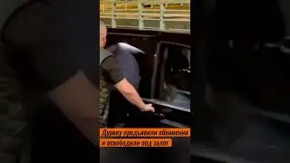 Павла Дурова освободили под залог