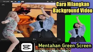 Cara Menghilangkan Latar Belakang Video Di Capcut