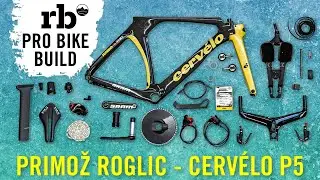 Dream Build I Probike I Cervelo P5 I 2023 I Primoz Roglic I Team Jumbo Visma