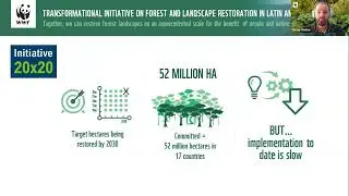 COP28 recap: Implications for ecosystem restoration & nature conservation - Forest Restoration Talk