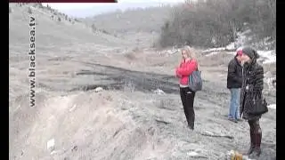 В Севастополе находят трупы животных