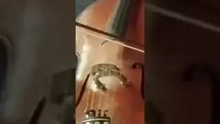 Тоска Пуччини #cello #shorts #хочуврек